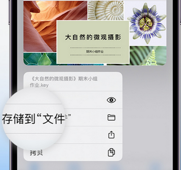 睢宁apple维修中心分享iPhone文件应用中存储和找到下载文件