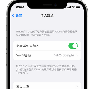 睢宁apple服务站点分享iPhone上个人热点丢失了怎么办 