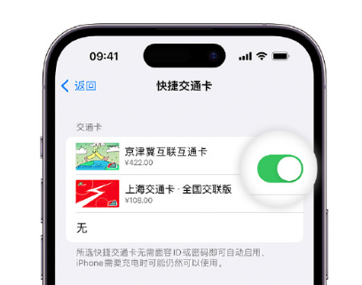 睢宁apple维修点分享iPhone上更换Apple Pay快捷交通卡手绘卡面 