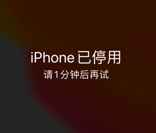 睢宁苹果手机维修分享:iPhone 显示“不可用”或“已停用”怎么办？还能保留数据吗？ 