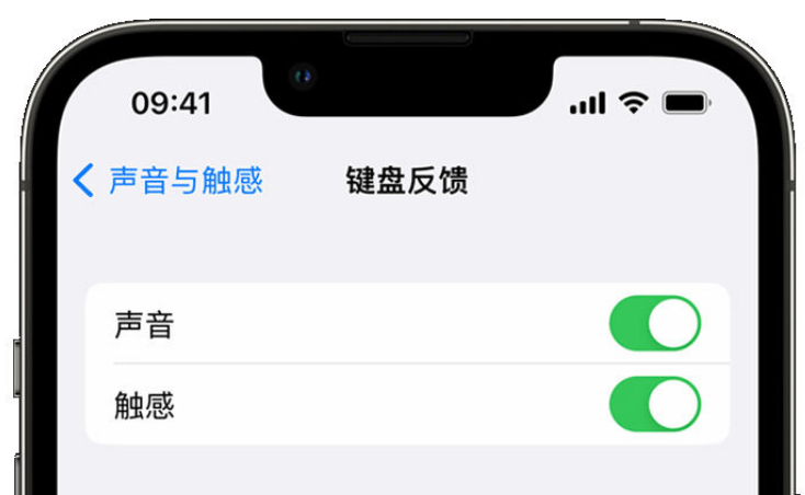 睢宁苹果手机维修分享iPhone 14触感键盘使用方法 