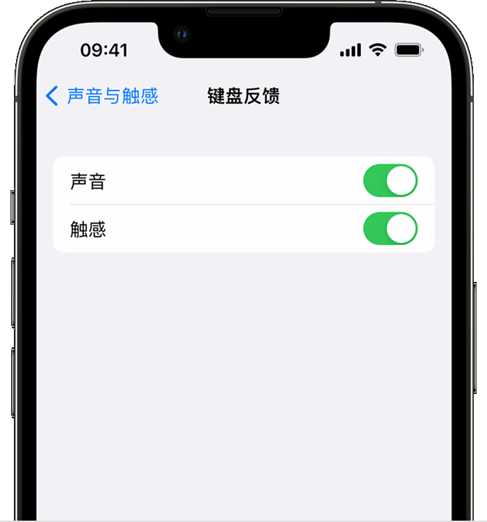 睢宁苹果14维修店分享如何在 iPhone 14 机型中使用触感键盘 