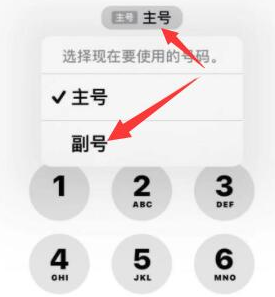 睢宁苹果14维修店分享iPhone 14 Pro Max使用副卡打电话的方法 