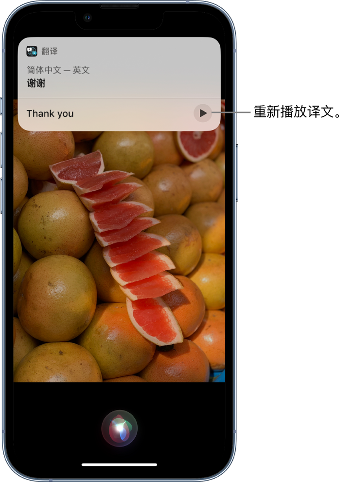 睢宁苹果14维修分享 iPhone 14 机型中使用 Siri：了解 Siri 能帮你做什么 