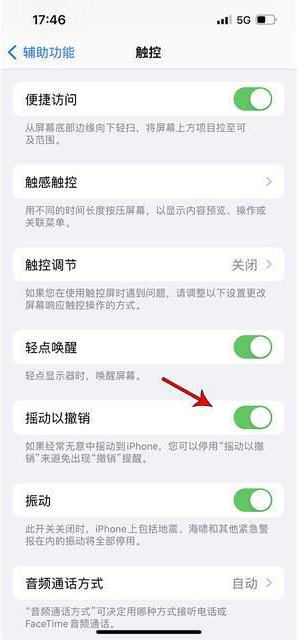 睢宁苹果手机维修分享iPhone手机如何设置摇一摇删除文字 